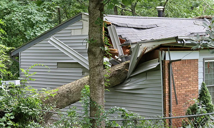 hail damage roofing contractors 